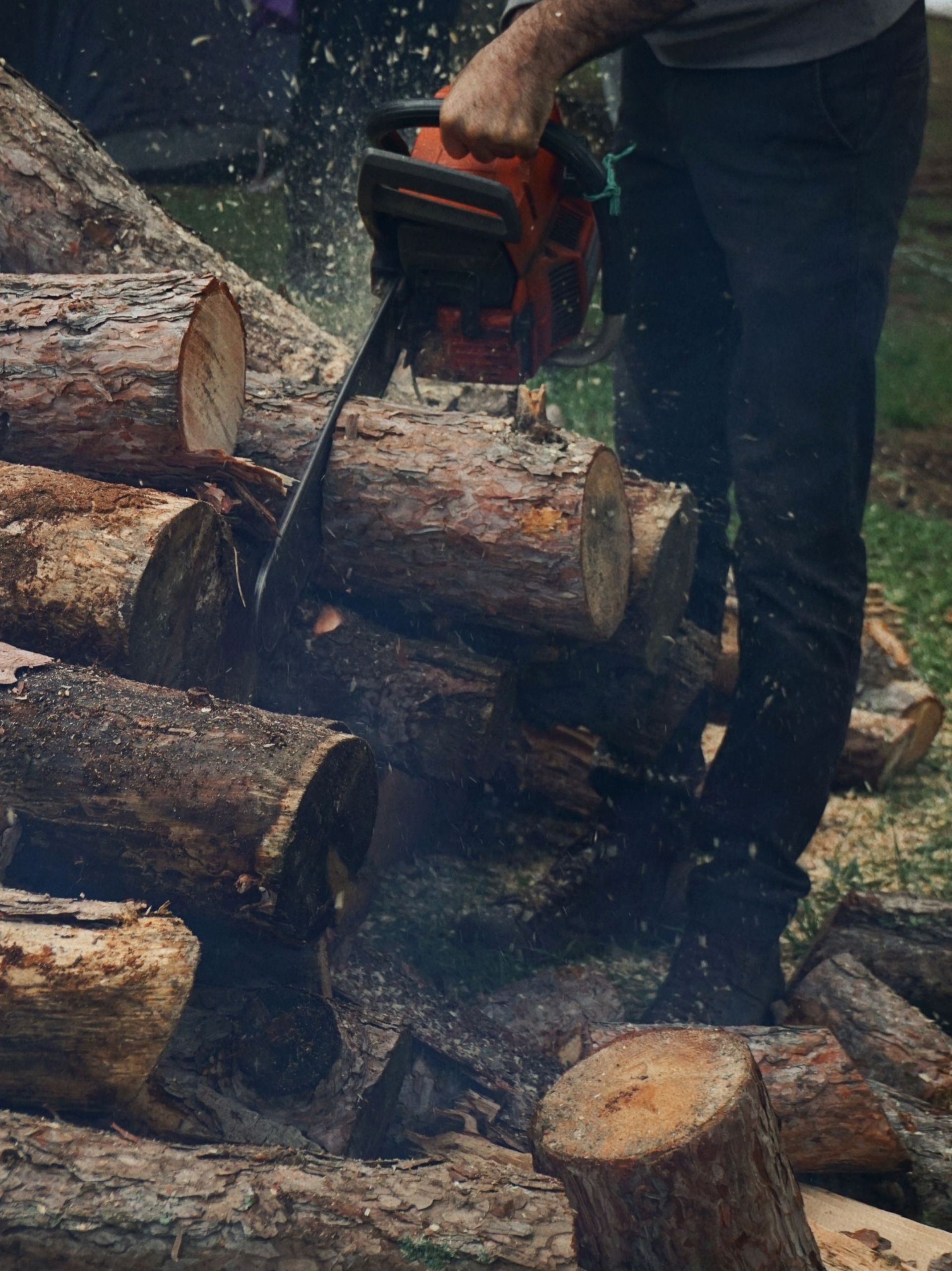 Adult man using a chainsaw to cut large logs outdoors, showcasing woodworking skills.